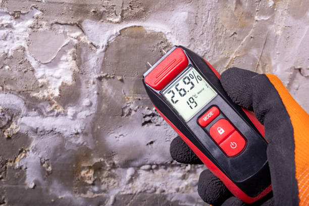 Best Mold Cleaning Services  in Northwest Harborcreek, PA