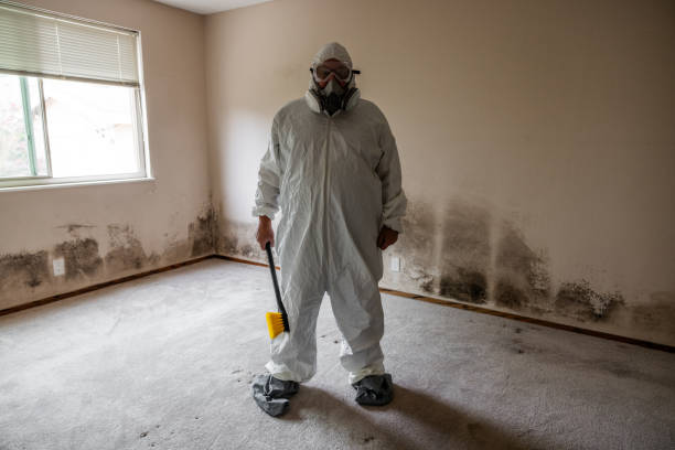 Best Toxic Mold Removal  in Northwest Harborcreek, PA